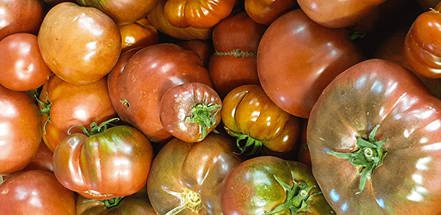 fruits biologiques de la ferme Saint Malo et marché de Dinard